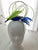 Bird Of Paradise