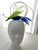 Bird Of Paradise