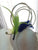 Bird Of Paradise
