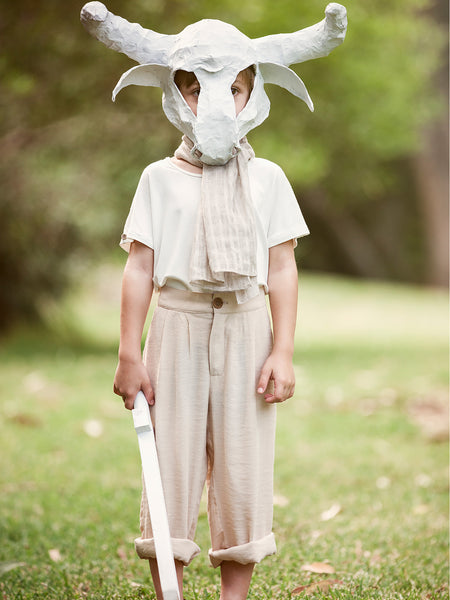 Our Friendly Minotaur