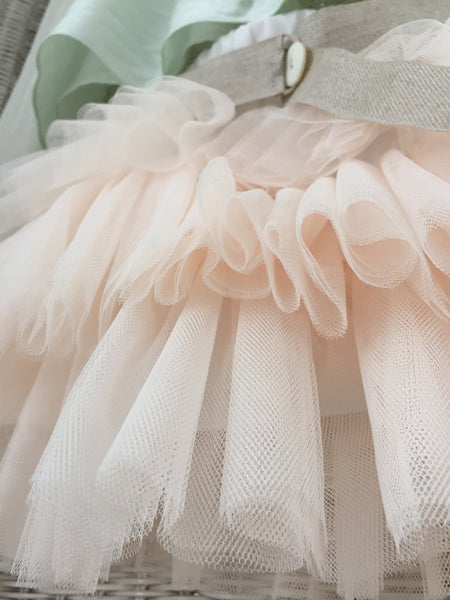 Mint & Apricot